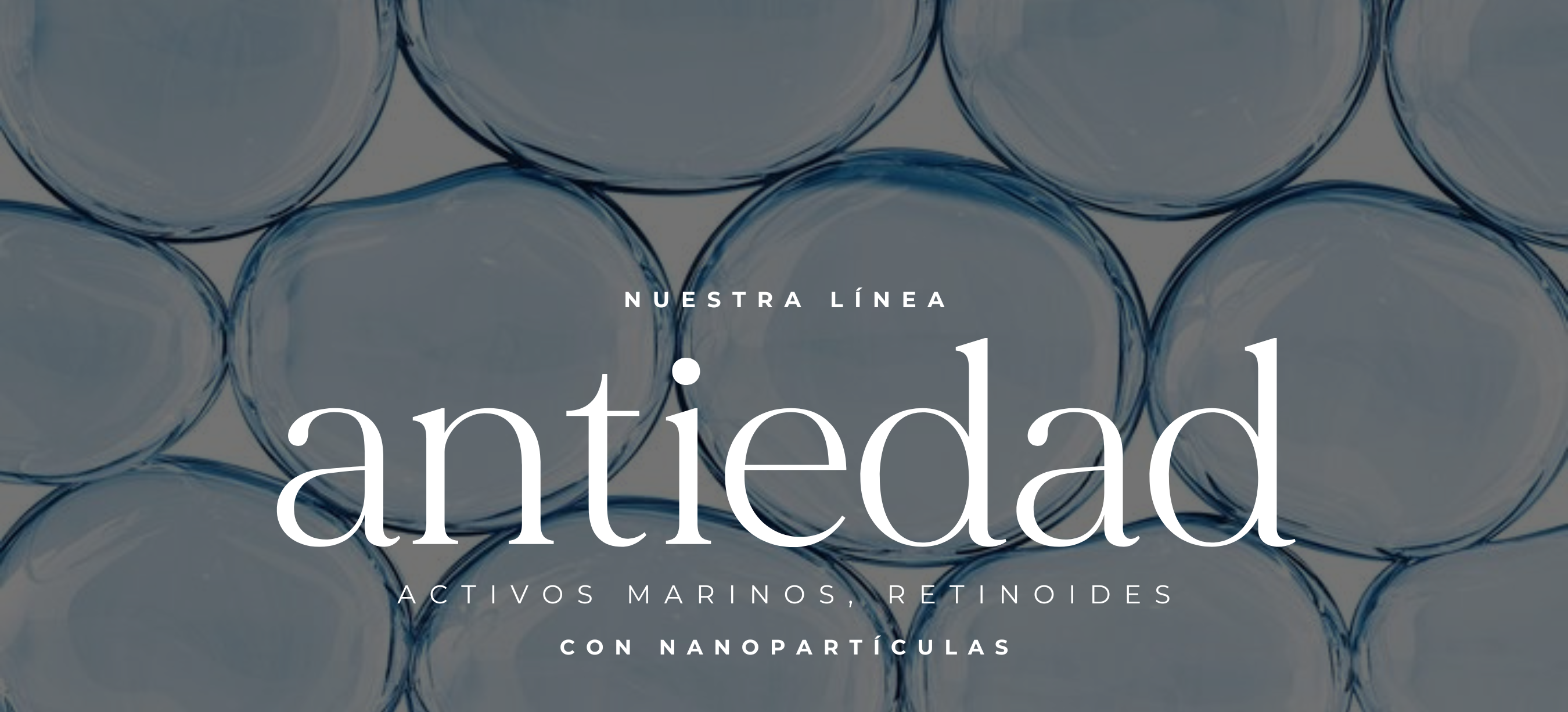 ANTIEDAD