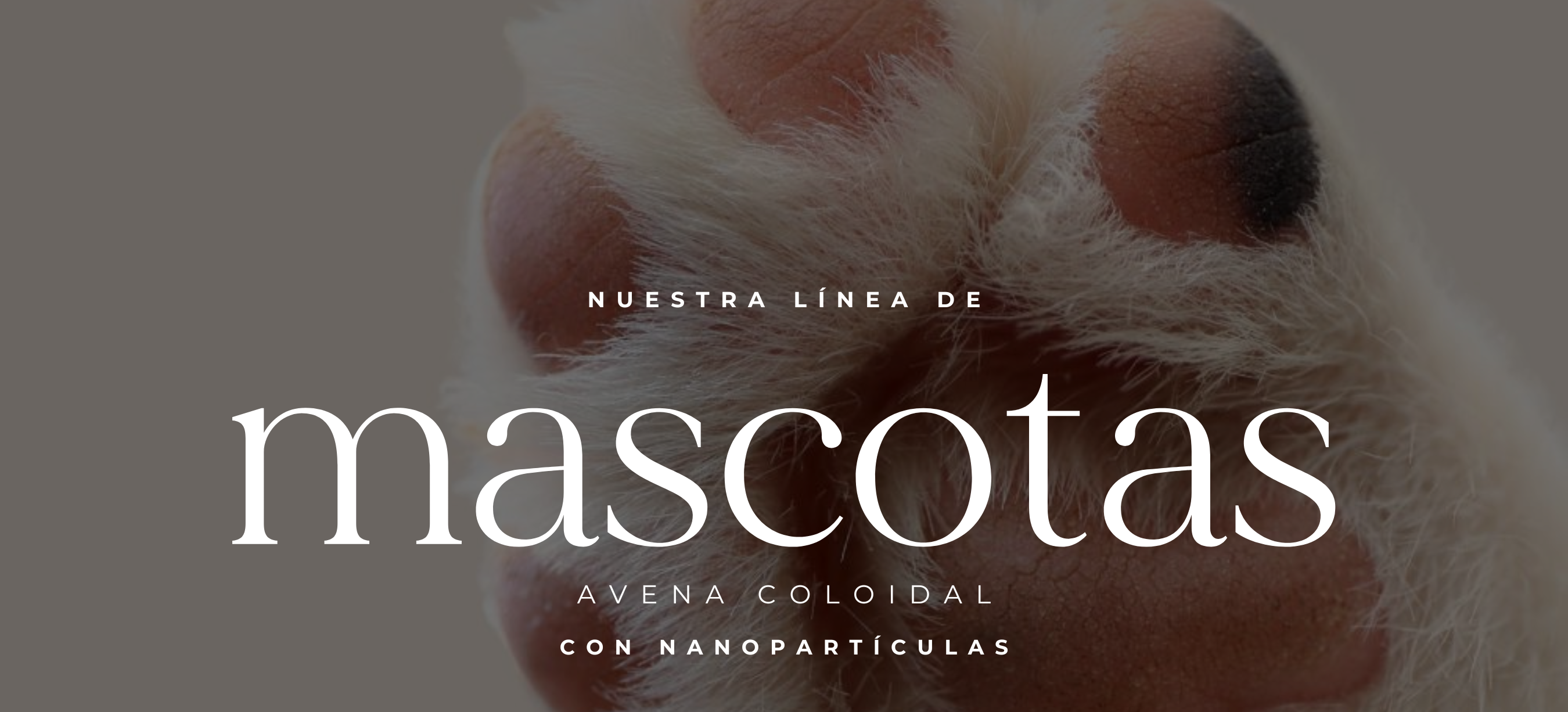 MASCOTAS